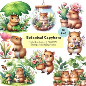 Könnte beinhalten: Eine Sammlung von Aquarellillustrationen mit Capybaras und botanischen Elementen. Die Bilder zeigen Capybaras mit Blumen, Pflanzen und in Terrarien. Der Text lautet "Botanical Capybara" und "16 PNG".