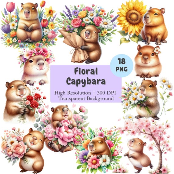 Floral Capybara Clipart Bundle, Watercolor Cute Capybara with Flowers PNG Set, Transparent Background, Commercial Use