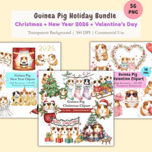Guinea Pig Holiday Clipart Large Bundle, Christmas, New Year 2026, Valentine&#39;s Day PNG Set, Seasonal Printable Animal, Commercial Use