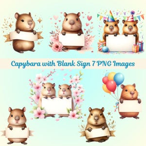 Può includere: Una collezione di sette immagini PNG con simpatici capibara che tengono cartelli vuoti. I capibara sono raffigurati in varie pose, alcuni con cappelli da festa, palloncini e composizioni floreali. Il testo "Capybara with Blank Sign 7 PNG Images" è visibile.