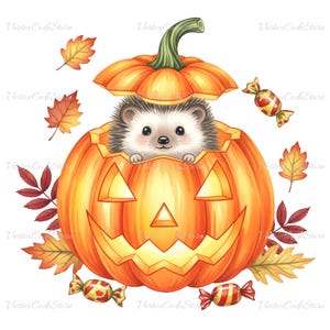 May include: A watercolor illustration of a cute hedgehog inside a carved orange pumpkin. The pumpkin has a jack-o'-lantern face and is surrounded by autumn leaves and wrapped candies. A festive design for Halloween or fall.