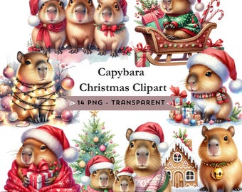 Capybara Christmas Clipart Bundle Watercolor Kawaii Capybara PNG Images Cute Animal Illustration Digital Download Transparent Background