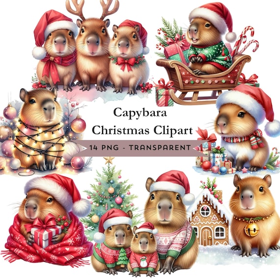 Capybara Christmas Clipart Bundle Watercolor Kawaii Capybara PNG Images Cute Animal Illustration Digital Download Transparent Background