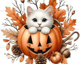 Watercolor Kitten Pumpkin Clipart Cute Cat Halloween PNG Printable Cat Autumn Theme Digital Download Fall Cat Illustration Commercial Use