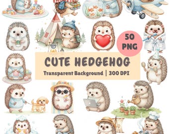 Cute Hedgehog Clipart Bundle Kawaii Small Pet Daily Life 50 PNG Images Watercolor Woodland Animal Illustration Printable Commercial License