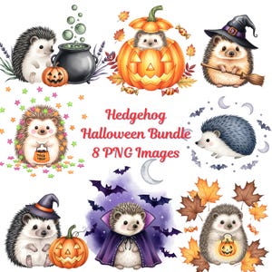 watercolor clipart of hedgehog in Halloween theme, including pumpkin witch costume, 8 PNG images.