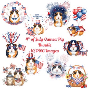 Ensemble de cliparts pour la fête de l'indépendance des cochons d'Inde PNG Mignons cochons d'Inde patriotique du 4 juillet avec drapeaux et feux d'artifice Illustration animalière des Etats-Unis