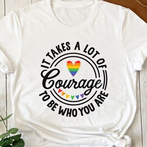 Gay Festival Shirt, LGBTQ+ Shirt Gift, LGBT Gift for Friend, Bisexual Pride T Shirt, Lesbian Women Gift, Gay Rainbow Shirt, Queer Girls Tees
