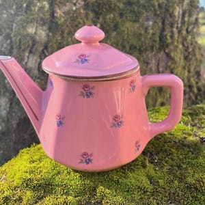Può includere: Una teiera in ceramica rosa con coperchio e beccuccio. La teiera è decorata con piccoli motivi floreali blu e rossi. Il manico e il beccuccio hanno finiture dorate. La teiera è appoggiata su un letto di muschio verde.