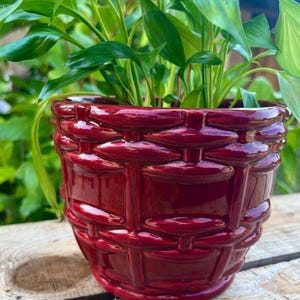 Peut inclure: Une plante verte luxuriante avec de grandes feuilles dans un pot en céramique rouge foncé brillant. Le pot présente un motif de panier tressé. L'ensemble est posé sur une surface en bois, créant un contraste de couleurs.