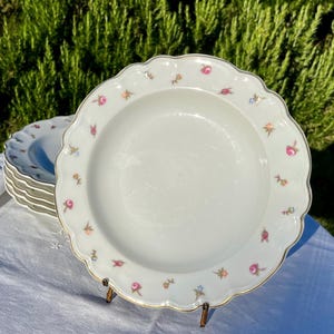 Set of 6 vintage Limoges porcelain soup plates, beautiful floral borders and gold trim