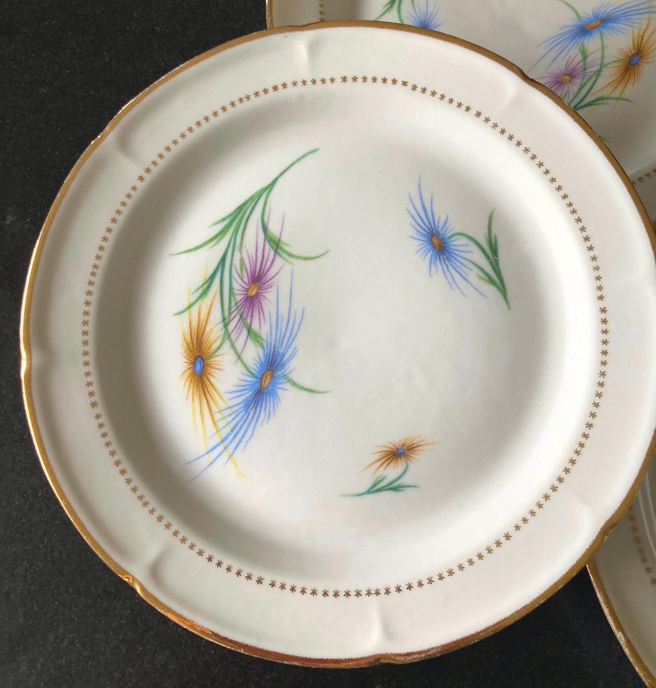 Assiette Décorative Limoges - Motif Tour Bord De L'eau - Occasion, 26,5 Cm