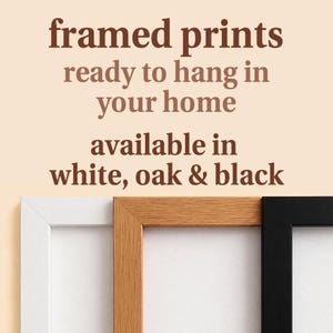 frame-image-promo