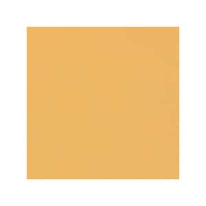 Cartulina AC, Primarios, Cartulina de nido de abeja, 2 x 12', Textura, Peso de cubierta de 80 libras, Calidad, Amarillo intenso, Versátil, Naranja claro