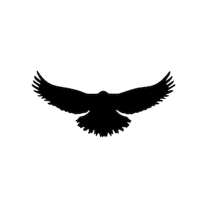 Really Great Stencils Crow Wingspan Stencil 6x6 Background Bird really-great-stencils-crow-wingspan-stencil-6x6-background-bird
