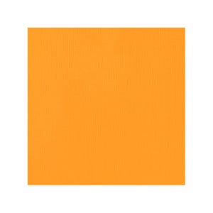 Cartulina AC, Primarios, Cartulina naranja, 2 x 12', Textura, Peso de cubierta de 80 libras, Calidad, American Crafts, Versátil, Brillante, Calabaza