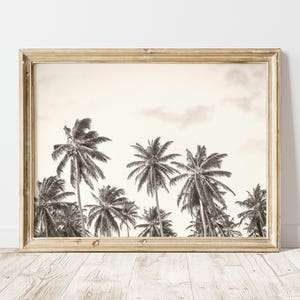 May include: Black and white framed print featuring a row of palm trees under a cloudy sky. The artwork is displayed in a light-colored wooden frame, adding a touch of warmth to the tropical scene. The print is set against a white wall.