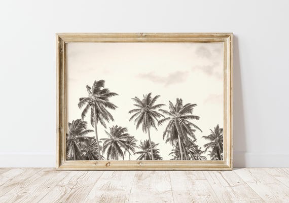 Palm Tree Printable Wall Art, Vintage Aesthetic Photo, Black and White Digital Photography Art, Coastal Vibes, Hawaiian Art, Teen Room Decor