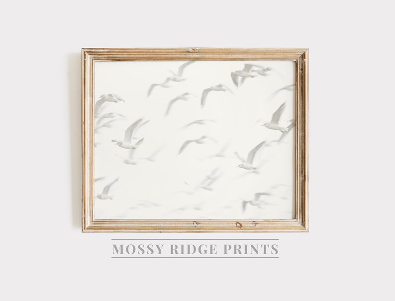 May include: A framed print of a white background with a pattern of gray birds in flight. The frame is a light wood color. The text "Mossy Ridge Prints" is below the frame.