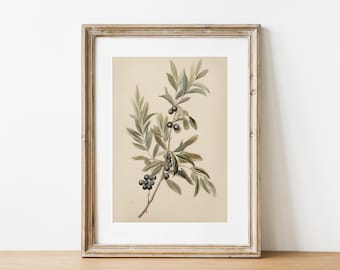 May include: Framed botanical print featuring an olive branch with green leaves and dark berries. The artwork is set against a cream-colored background and framed in a rustic, light-brown wooden frame. A classic piece of wall decor.