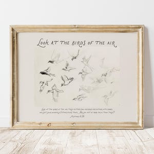 Op de afbeelding: Ingelijst kunstwerk met een potloodschets van vogels in vlucht. Het kunstwerk zit in een goudkleurige lijst en bevat de tekst "Look at the birds of the air" en een bijbelvers. Het kunstwerk wordt op een witte muur getoond.