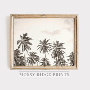 May include: Black and white framed print featuring a tropical scene with several palm trees under a cloudy sky. The print is in a light-colored wooden frame. The text "MOSSY RIDGE PRINTS" is at the bottom of the frame.