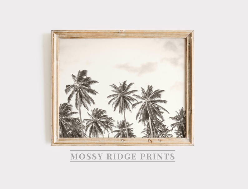 May include: Black and white framed print featuring a tropical scene with several palm trees under a cloudy sky. The print is in a light-colored wooden frame. The text "MOSSY RIDGE PRINTS" is at the bottom of the frame.