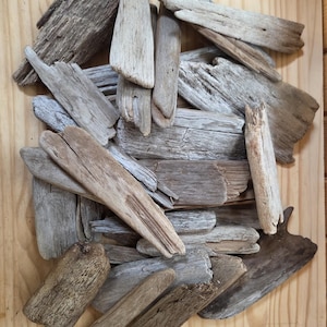 May include: A collection of weathered driftwood pieces in various shapes and sizes, featuring natural gray and brown tones with textured, eroded surfaces. The assortment includes flat, elongated, and chunky fragments of wood scattered in a pile.