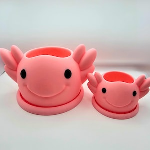 Axolotl Blumentopf • 3D Gedruckter Sukkulenten & Schreibtisch Pflanzenhalter