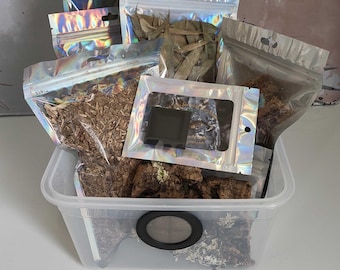 Isopod Starter Kit