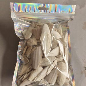 May include: A clear, iridescent holographic plastic pouch filled with numerous off-white, irregularly shaped cuttlebone fragments. The bag features a resealable zipper top and a die-cut hole for hanging, containing various sizes of porous, calcified pieces.
