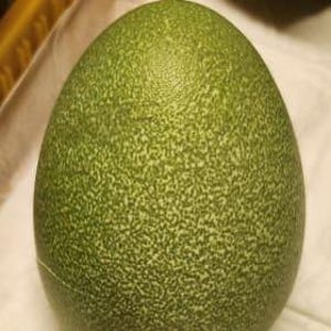 May include: A large, green, egg-shaped object with a textured surface. The egg has a speckled pattern and a smooth, rounded shape. The color is a muted, olive green.