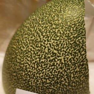 以下が含まれることがあります： マスクメロンの半分をクローズアップ。緑色の皮には濃い緑色の斑点があり、カットされた面からは薄いオレンジ色の果肉が見えます。メロンは部分的にカットされています。