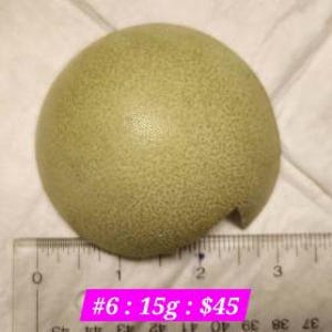 Op de afbeelding: Een lichtgroen, halfbolvormig object met een textuur. Een liniaal ligt naast het object, met een diameter van ongeveer 7.6 cm. Het object heeft een kleine chip aan de zijkant.