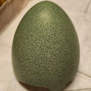May include: A large, speckled green egg with a smooth, glossy finish. The egg is oval-shaped and has a textured surface with small, dark green spots. The egg is resting on a white surface.