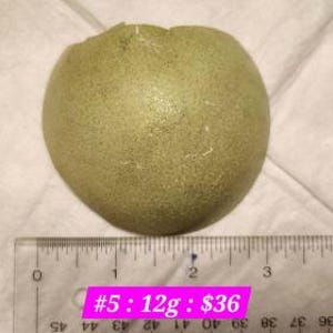 Op de afbeelding: Een lichtgroen, rond object met een textuur, mogelijk een vrucht of decoratief item. Een liniaal is eronder geplaatst, met een diameter van ongeveer 7.6 cm. De tekst "#5: 12g: $36" is zichtbaar.