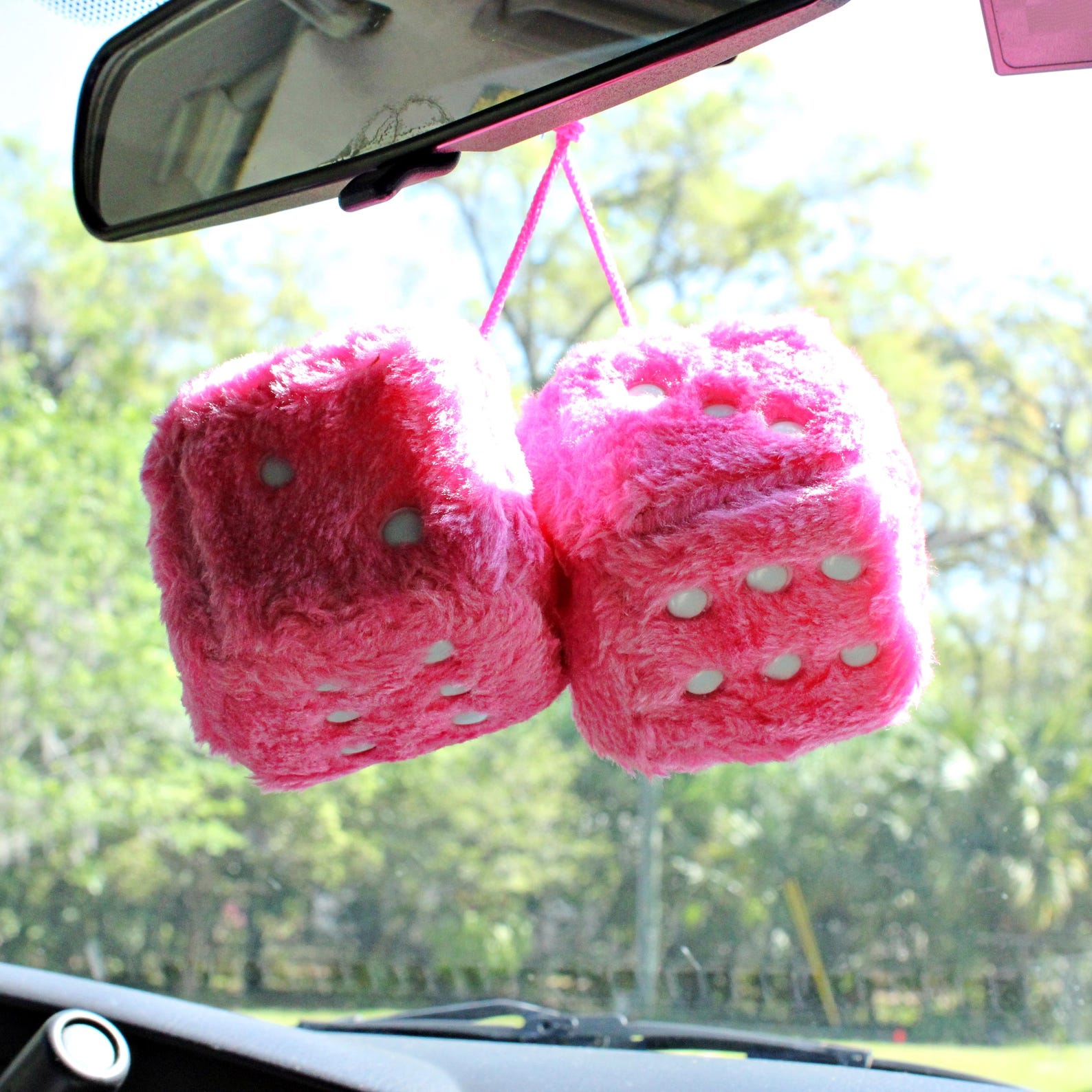 Fuzzy Car Dice