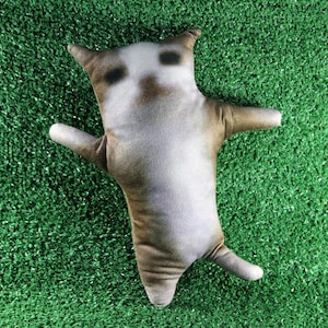 Happy Cat Meme Plush – Funny Stuffed Animal Toy 28cm | Viral Internet Cat Plushie Gift