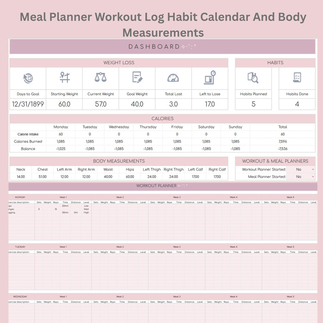 Fitness and Weight Loss Tracker Spreadsheet With Meal Planner Workout ...