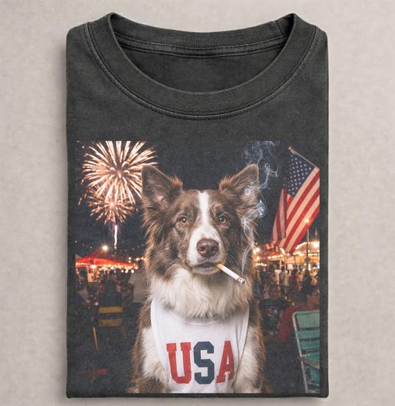 Funny Patriotic Brown Border Collie Shirt, Retro USA Meme Tee, Vintage 4th of July Border Tee, Independence Day Graphic Tee, Collie 250year