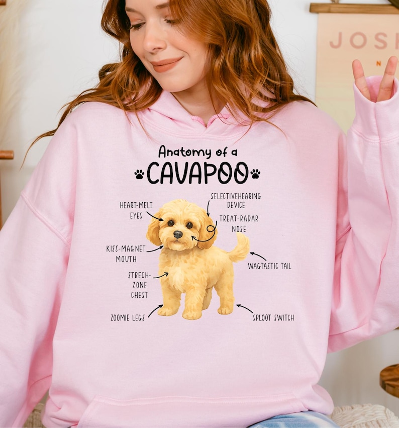 Anatomy Of A Cavapoo Hoodie Funny Cavapoo Dog Lover Gift Cavapoo Mom anatomy-of-a-cavapoo-hoodie-funny-cavapoo-dog-lover-gift-cavapoo-mom