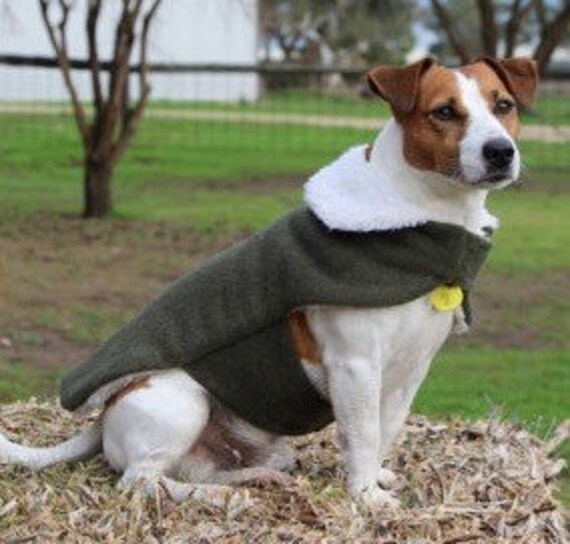wool lined dog coats