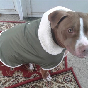 thinsulate dog coat