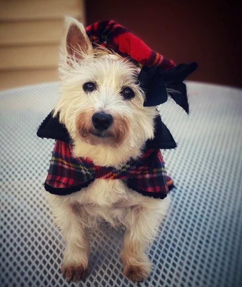Red Tartan Plaid Fleece Doggy Beret Dog Beret hats for dogs | Etsy