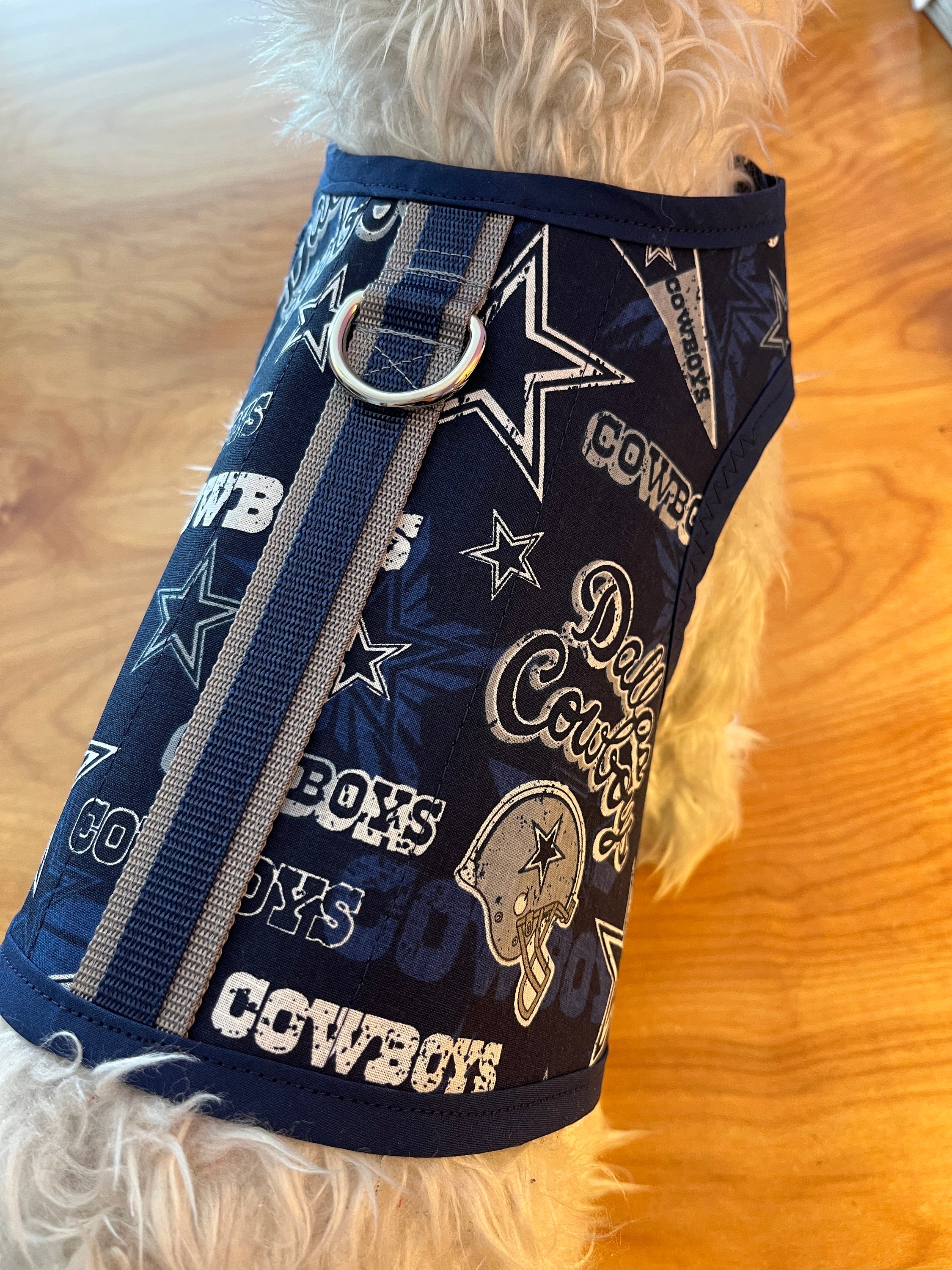 Dallas Cowboys Premium Dog Collar or Leash