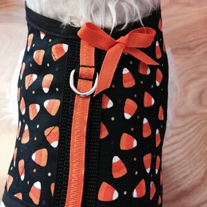 May include: A black and orange dog harness with a candy corn pattern. The harness has an orange ribbon tied in a bow at the back.