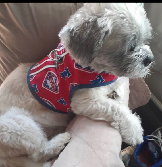 phillies shirt for dogs