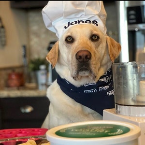 Chef Hat for Dogs, Dog Costume, Hats for dogs, Dog Hat image 1