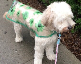 Green Gerber Daisy Dog Rain Jacket, Dog Rainjacket, Dog Coat, Dog Jacket, Dog Jackets, pet clothing