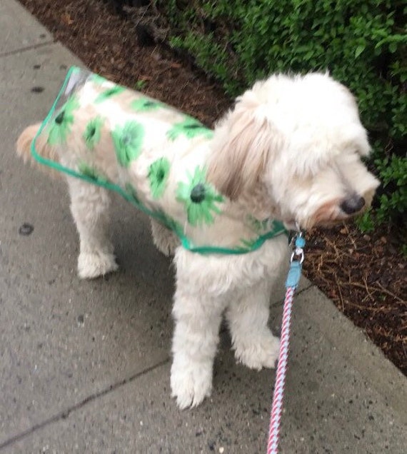 dog rain jacket